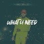 eriebeats - Chris Brown x Drake x Tone Stith Type Beat - "WHAT U NEED" | R&B Sample Type Beat