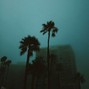 ASHTON MCCREIGHT - night vibes
