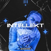 Intellekt