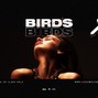Alexx Melo - ❌ BIRDS | Reggaeton . Bad Bunny . J Balvin