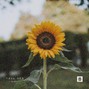 Tellingbeatzz - Feelings (Buy 1 Get 2 Free)