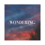 sleep在patterns - Wondering