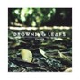 sleep在patterns - Drowning Leafs
