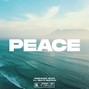Pumpshock Beats - Jhay Cortez X Feid type beat - ''Peace''