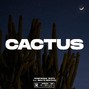 Pumpshock Beats - Cactus