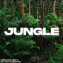 Pumpshock Beats - Jungle