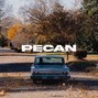 Jasper Frost - Pecan