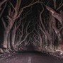 KNOX PESTIS - BADWOODS