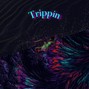 S3ns31dag0d - Trippin