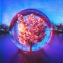 404 - forgiveness