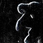 nockonsep - Nocturnal