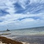 CTrip - Tranquility 