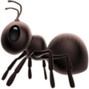 s1gna1 - ant