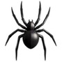 s1gna1 - spider