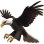 s1gna1 - eagle