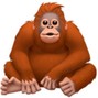 s1gna1 - orangutan