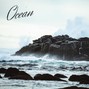 FRZNROSE - OCEAN  / Chill summer guitar type beat