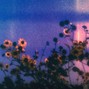 bucciuncommon - (free) untiljapan w4rma type beat - "turned"
