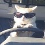 bucciuncommon - *free* untiljapan + ambient type beat "baby driver" w ziplocker