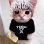 chau - meow