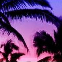 seijhi / chee$e