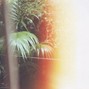 CLUB NOIR - SOLAR CREAM