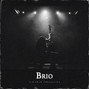 Die Naum Production - BRIO (Jelly Roll Type Beat X Yelawolf Rock Beat X Country Guitar Instrumental)