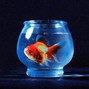 Smiles and Miles Music - Vince Staples | Still Looking