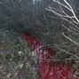 AtimothyA  - bloody river 