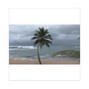 DUAVA - Storm