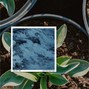 Jay x Jay - TextureSoul | Lofi Beat | Chill Beat | Soulful Beat