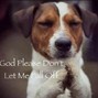 otz - all dogs go to heaven