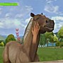 otz - equestrian