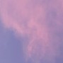 WYSTIKUS - Lazy Lavender