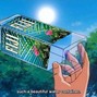 HOMEINVASION - FIJI