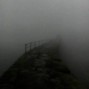 Mark Ruhedra - MIST