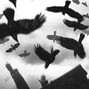 Mark Ruhedra - TIME TO DIE