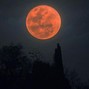Mark Ruhedra - BLOOD MOON