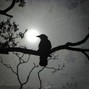 Mark Ruhedra - SLOW DEATH