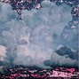 ippi - Tropic