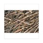 jordEn - sticks n mud