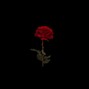JusaMelody - Roze