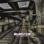 killenbeatz - Survive / Underground 80 Bpm