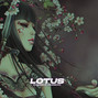 killenbeatz - Lotus | Japan Guitar | 178 Gm