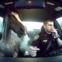 methboiswag - glovebox 