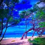 Keefey Beats - KIHEI - TROPICAL BOOM BAP BEAT