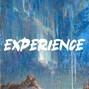 PRGN - PRGN - Experience