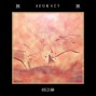 paaus - journey