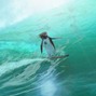 SEASICK - Beam