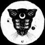 Shortfatty - Big Cat